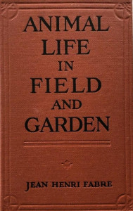 Animal Life in Field and Garden
