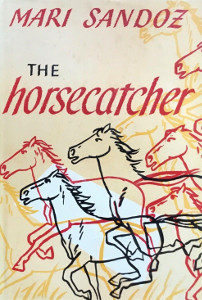 The Horsecatcher